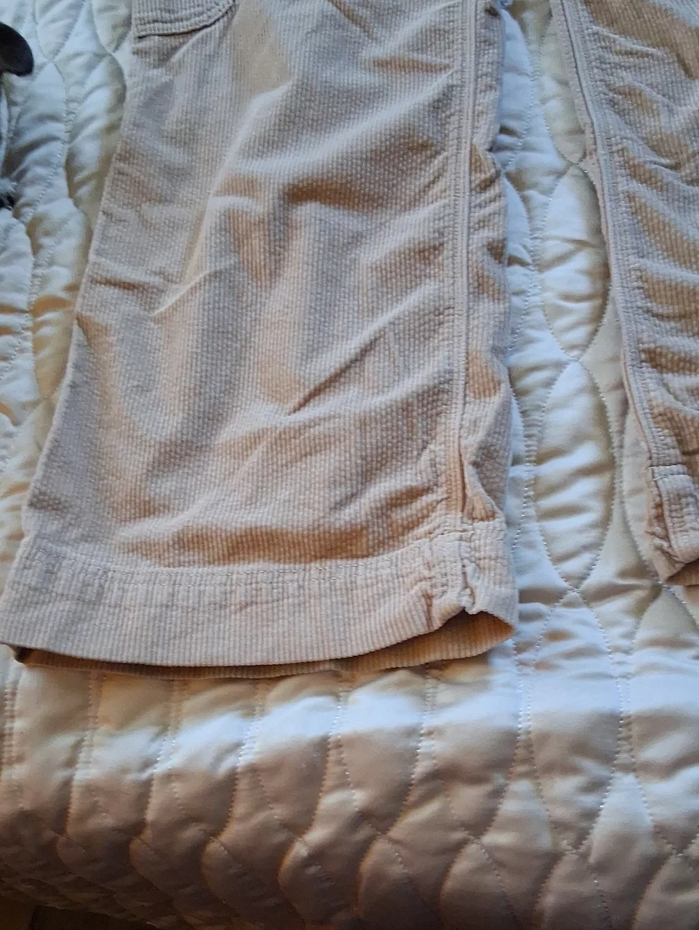 Corduroy Cargo Pants in Light Beige - Picture 3 of 9